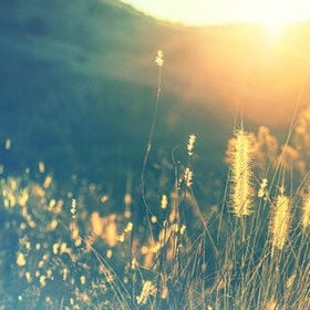 诗酒年华的头像