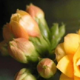 我们总是在寻找的头像