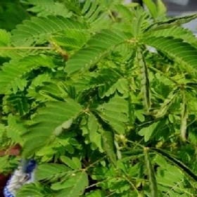 爱你我真瞎的头像