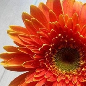 长乐岁画榆人的头像