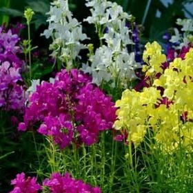 挽他手陪她走的头像