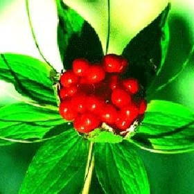 时间久愈啊的头像