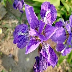 机关算尽的头像