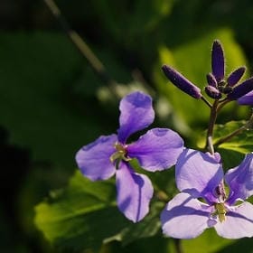 用命去珍惜的头像