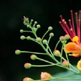 经过一些秋与冬的头像