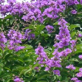 时间北暮城南的头像