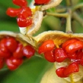 走的走停的停的头像