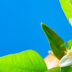 笑得盎然恣意的头像