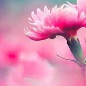 中单的李元芳的头像