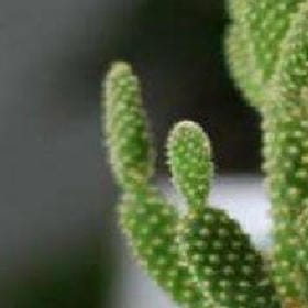 月栖云巢的头像