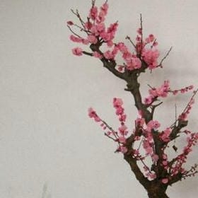 雨叩蕉窗的头像