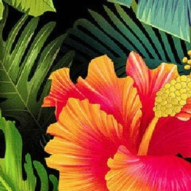 蛩泣空庭的头像