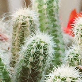 星灯万点的头像