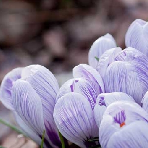 雪煮山韵的头像