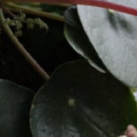 只是一种选择的头像