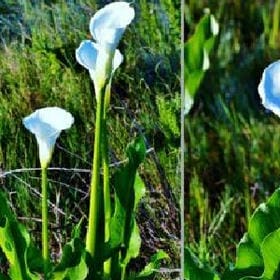 他太暖我爱他的头像