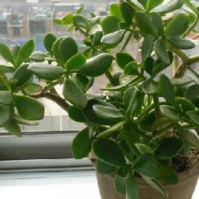 你别假装善良的头像