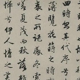 你的喵喵的头像