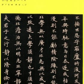 拥不珍者心好冷的头像