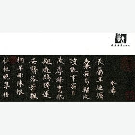 早春的樹的头像