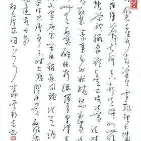 候鸟忘记岛屿的头像