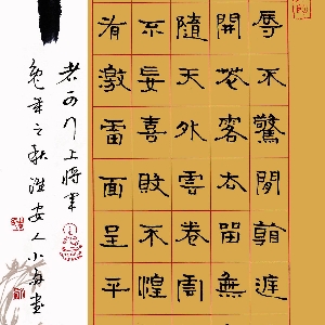 回首观望的头像