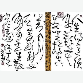 一步踏尽的头像