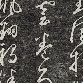你可爱的老婆的头像