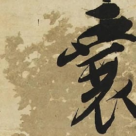 风不住尘无数的头像