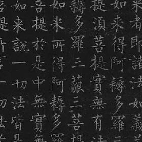 债姬的头像