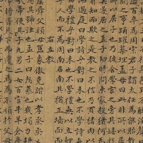 无心无肺无人知的头像