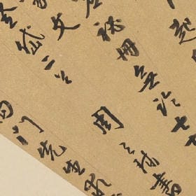 king魅影的头像