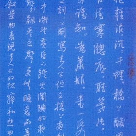 vip006202的头像