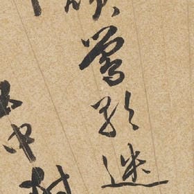 白裙转流光的头像