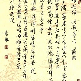 vip006469的头像