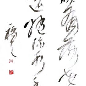 user006489的头像