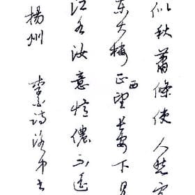 飞竹的头像