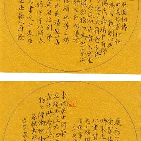 愛の過祛的头像