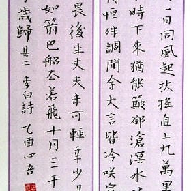 冷月残枝的头像