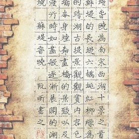 心无处可栖的头像