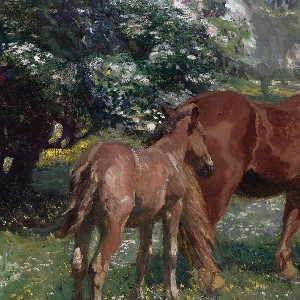 谁来偷走我的梦的头像