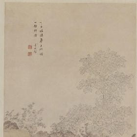 辣椒不是胶的头像