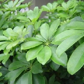 余光全是你的头像