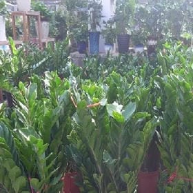 温柔戏命师的头像