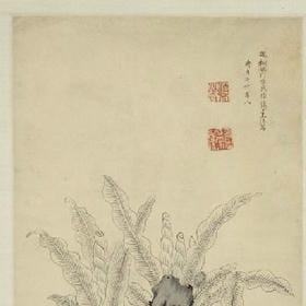 梦在深巷的头像