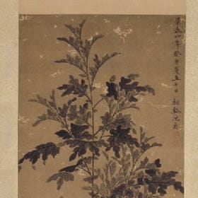 众星捧我的头像