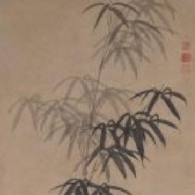 星星的头像