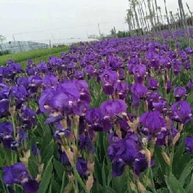 抱住我好不好的头像