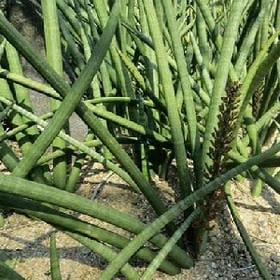 逃避全世界的头像