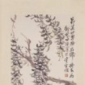 不要吃兔兔的头像